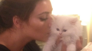 Kim Kardashian's Kitten, Mercy, Has Died